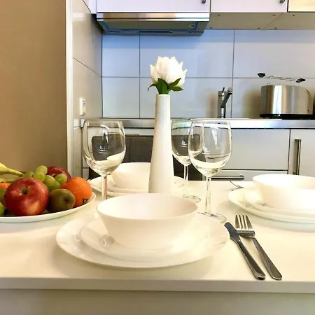Inviting Apartment In Duesseldorf With Parking Dusseldorf